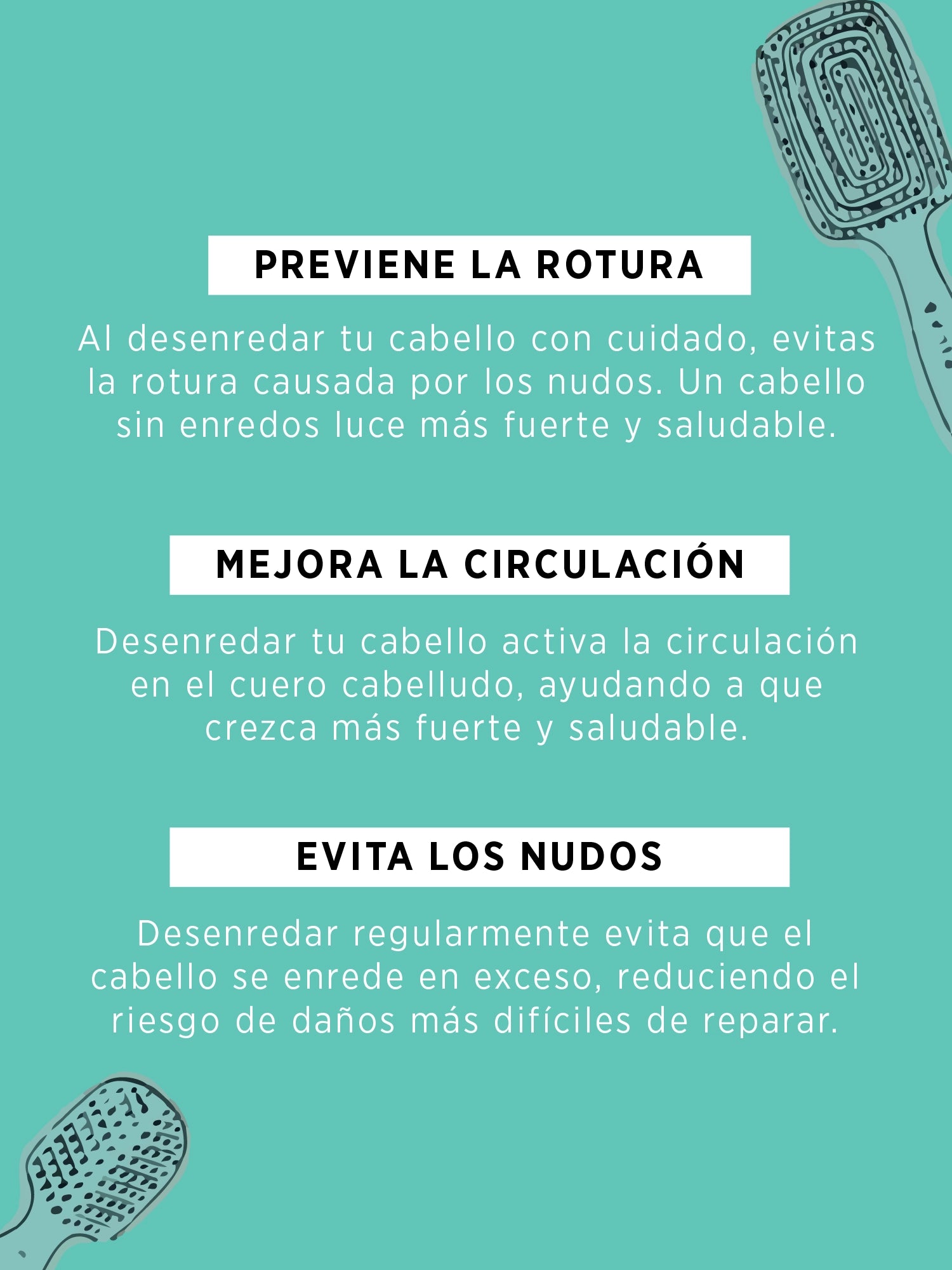 Cepillo Anti-Frizz Grande